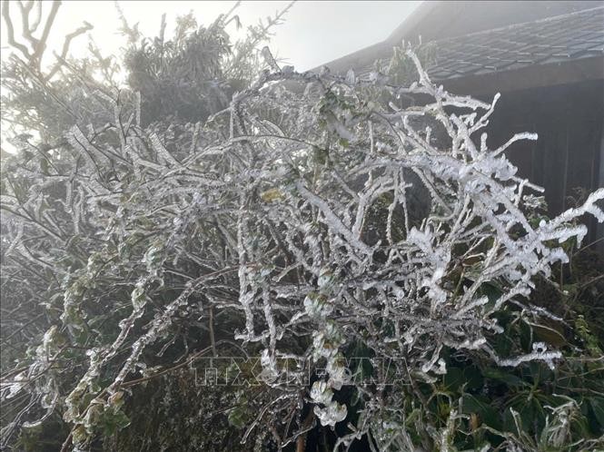 Băng giá xuất hiện tại nhiều vùng núi cao Lào Cai