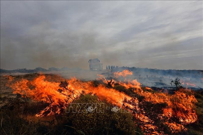 Argentina nỗ lực chống cháy rừng trong Vườn quốc gia dọc dãy Andes