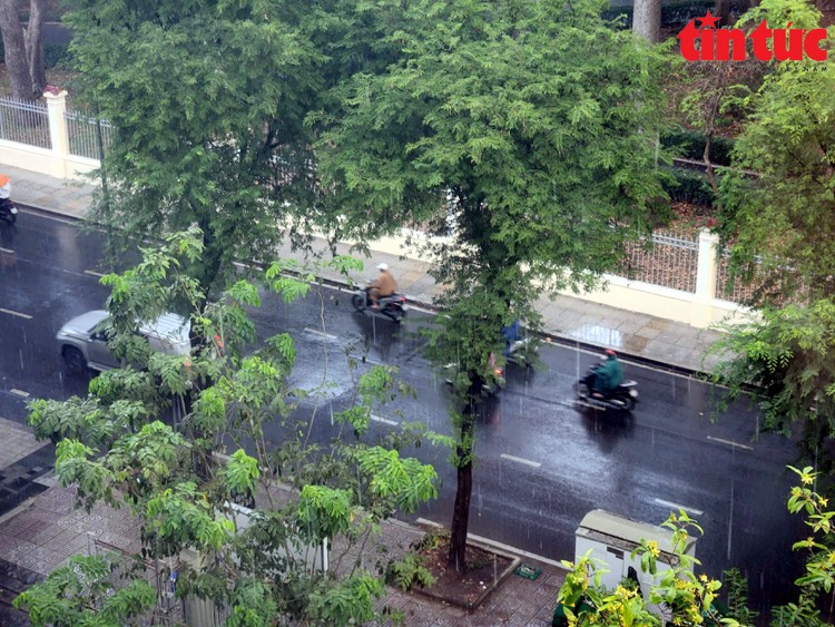 Thành phố Hồ Chí Minh xuất hiện mưa trái mùa do ảnh hưởng áp thấp