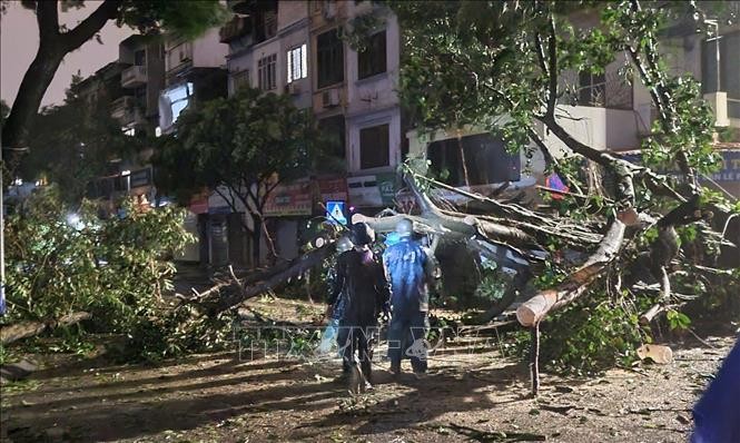 Hà Nội triển khai kế hoạch thích ứng với biến đổi khí hậu giai đoạn 2021-2030