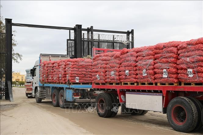 Israel dừng hoạt động đưa hàng viện trợ vào Dải Gaza