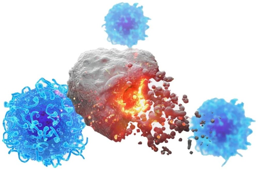 Nghiên cứu thành công vaccine "đa năng" chống nhiều loại ung thư