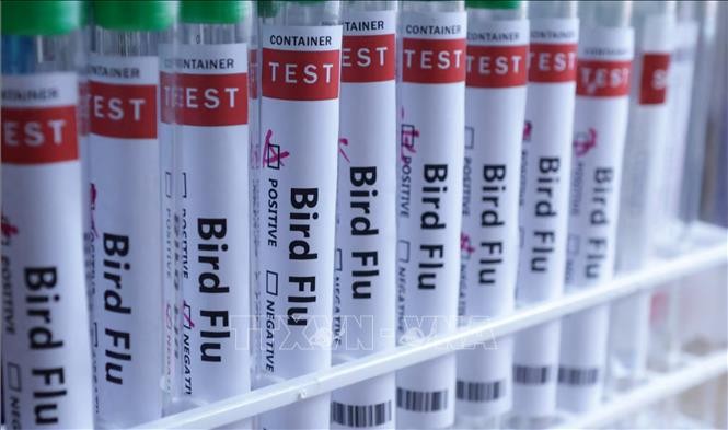 Nga cảnh báo dịch cúm A tiếp tục gia tăng