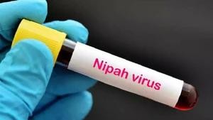 Philippines cảnh báo người dân về virus Nipah