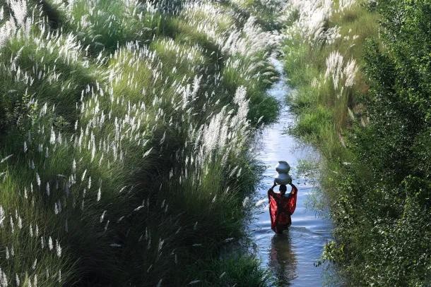 Khủng hoảng nước toàn cầu đang trở nên trầm trọng hơn do bất bình đẳng giới
