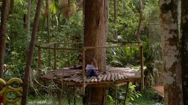 Hơn 100.000 trường học đã tuân thủ hướng dẫn về trường học xanh của UNESCO