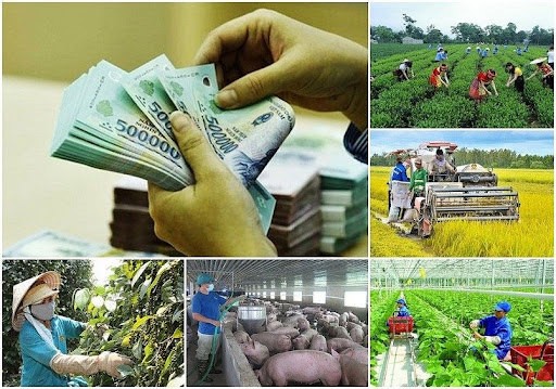 Tập trung vào các lĩnh vực thiết yếu khi phân bổ vốn thực hiện Chương trình mục tiêu quốc gia