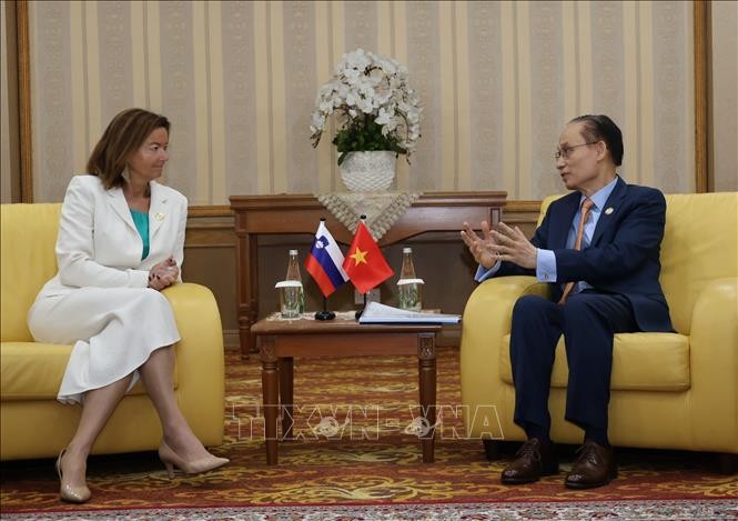 Bộ trưởng Ngoại giao Lê Hoài Trung hội đàm với Phó Thủ tướng, Bộ trưởng Ngoại giao và các vấn đề châu Âu Slovenia, bà Tanja Fajon.