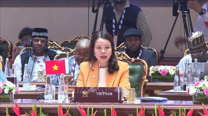 Việt Nam sẵn sàng thúc đẩy kết nối BRICS với khu vực châu Á - Thái Bình Dương