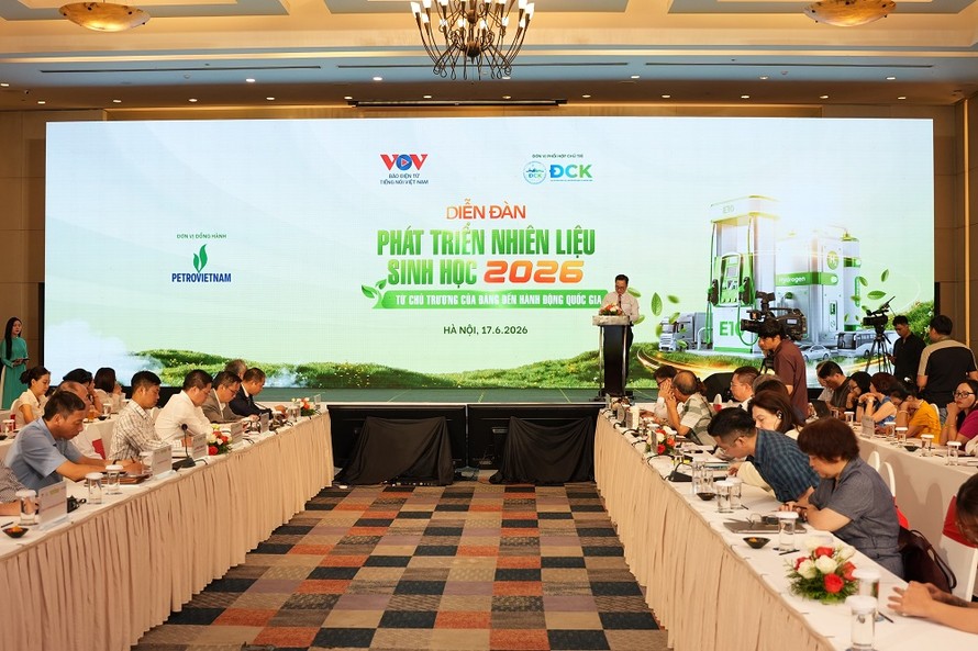 Hội trường tổ chức