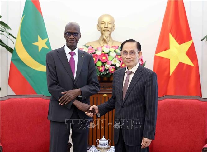 Việt Nam luôn trân trọng quan hệ hữu nghị, truyền thống với các quốc gia châu Phi