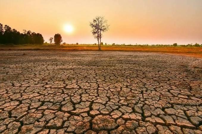Cảnh báo hiện tượng El Nino đạt đỉnh vào năm 2027