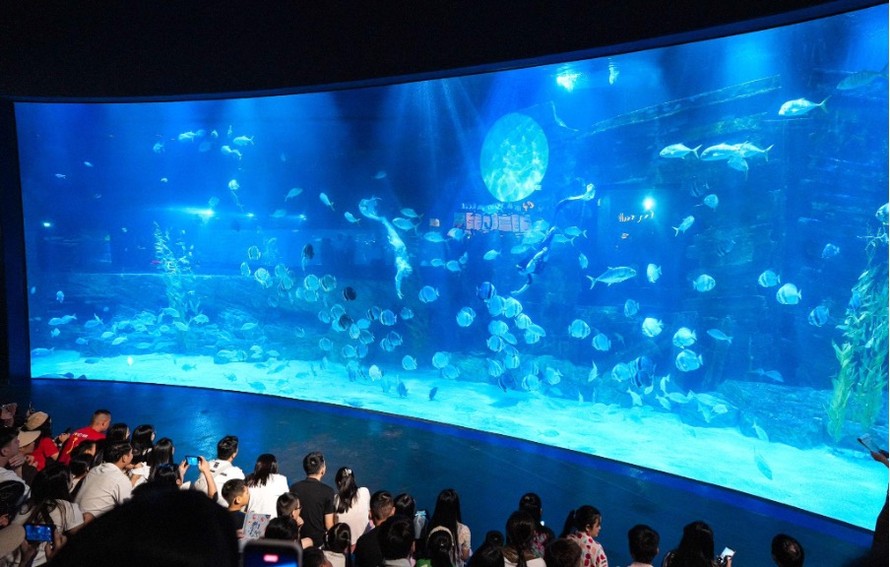 Những tiết mục đặc biệt như múa lân dưới nước và show nàng tiên cá là điểm nhấn trong mùa Trung Thu năm nay tại Thủy cung Lotte World Hà Nội. 