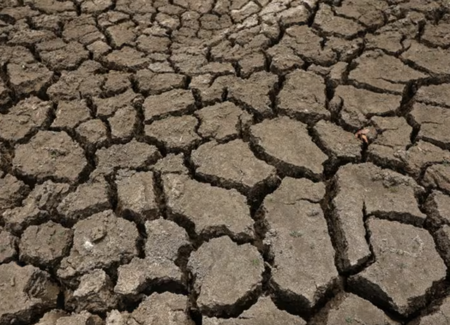 El Nino có thể gây ra hơn 450.000 ca tử vong do nắng nóng