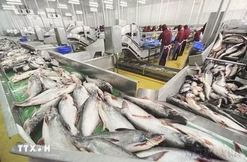 Việt Nam - Canada: Mở rộng không gian hợp tác mới