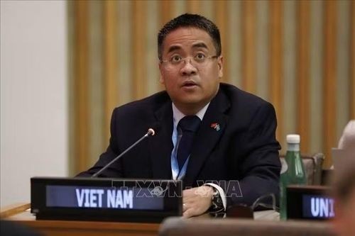 Việt Nam khẳng định ủng hộ quyền tự quyết và thúc đẩy tiến trình phi thực dân hóa
