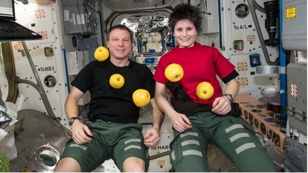 Phi hành gia ăn gì ngoài không gian?