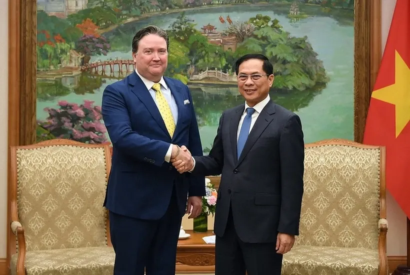 Phó Thủ tướng Chính phủ Bùi Thanh Sơn tiếp Đại sứ Hoa Kỳ tại Việt Nam Marc E. Knapper. 
