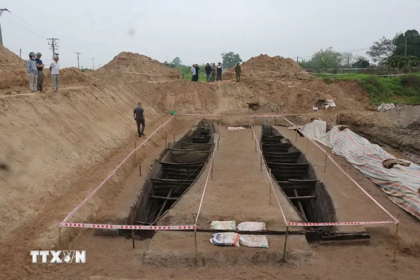 Các nhà khảo cổ học đều nhận định đây là lần đầu tiên tại Việt Nam phát hiện ra hai chiếc thuyền có kết cấu liên kết với nhau rất kiên cố bằng 1 thanh gỗ ở đầu thuyền. Ảnh: Đỗ Huyền/TTXVN.