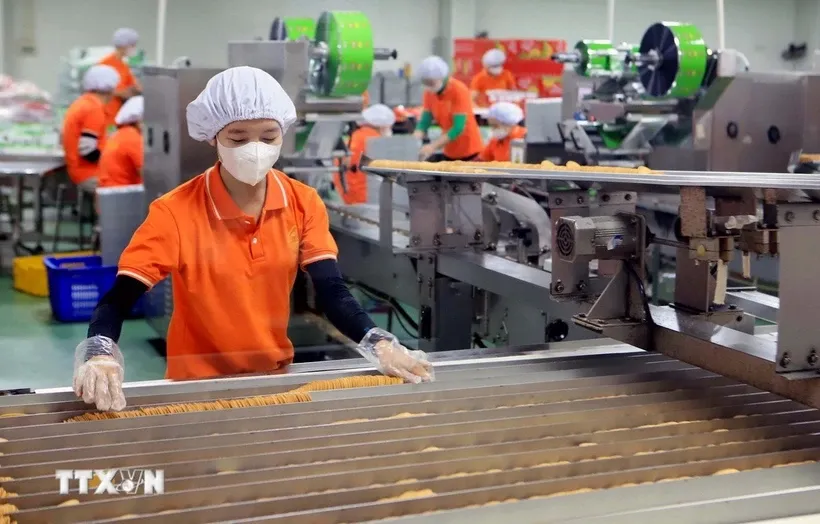 Kinh tế tư nhân được đặt nhiều kỳ vọng bứt phá và phát triển, đưa kinh tế đất nước vững mạnh bước vào kỷ nguyên mới. Ảnh: Thế Duyệt/TTXVN