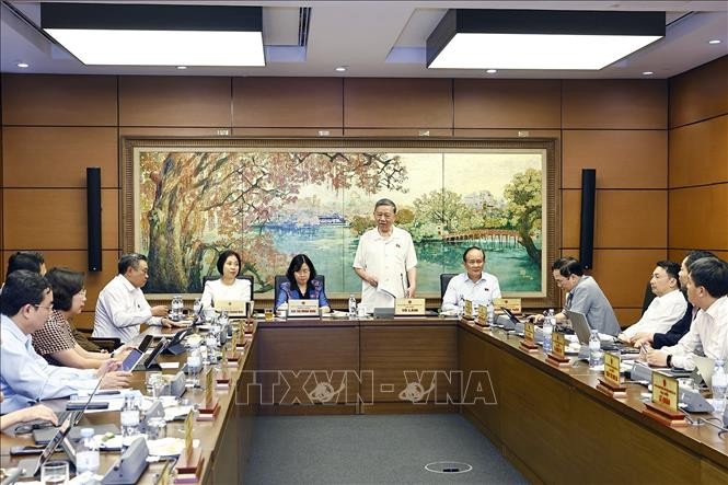 Tổng Bí thư Tô Lâm, Đại biểu Quốc hội thành phố Hà Nội phát biểu. Ảnh: Doãn Tấn/TTXVN.