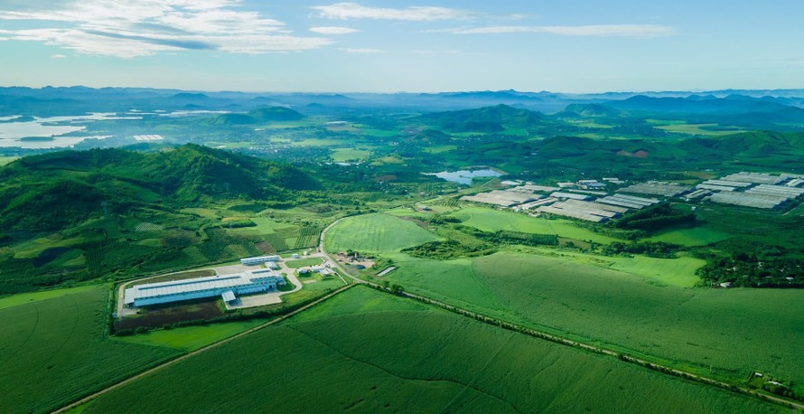 Dự án chăn nuôi bò sữa tập trung ứng dụng công nghệ cao của Tập đoàn TH triển khai từ tháng 10/2009 tại Nghĩa Đàn, Nghệ An được vận hành theo chuỗi sản xuất từ đồng cỏ xanh đến ly sữa sạch.