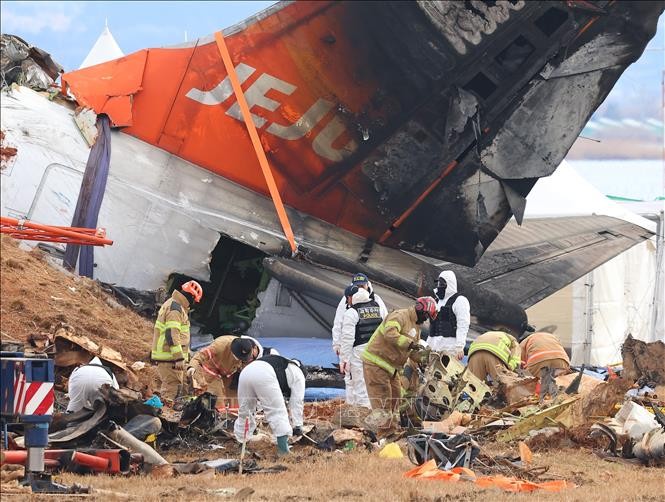 Hàn Quốc điều tra 24 trường hợp "sơ suất nghề nghiệp" liên quan tai nạn máy bay Jeju Air