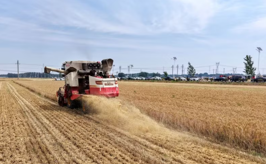 Siêu El Nino có thể gây cú sốc tăng giá lương thực toàn cầu đến năm 2028.