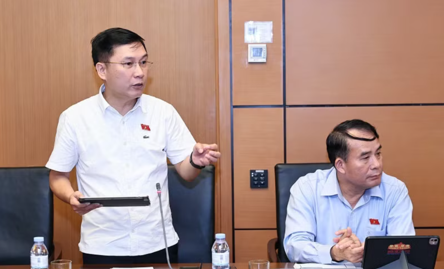 Đại biểu Quốc hội tỉnh Gia Lai Lê Hoàng Anh phát biểu. 