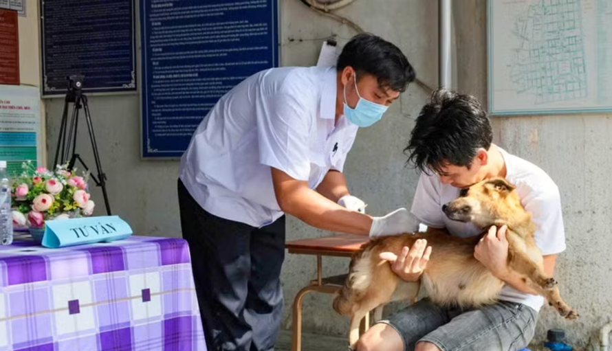 Cán bộ thú y tiêm vaccine phòng dại cho chó để phòng ngừa dịch bệnh.