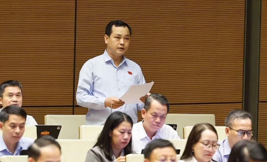 Đại biểu Quốc hội Thành phố Hồ Chí Minh Lê Văn Đông phát biểu.