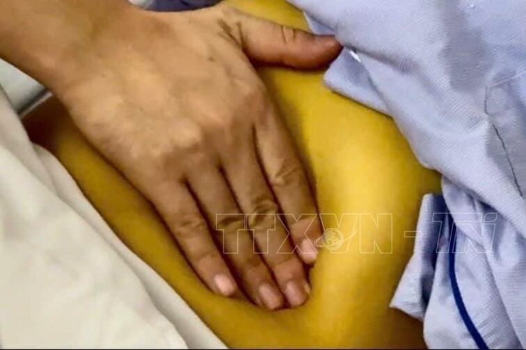 Ảnh minh họa: TTXVN