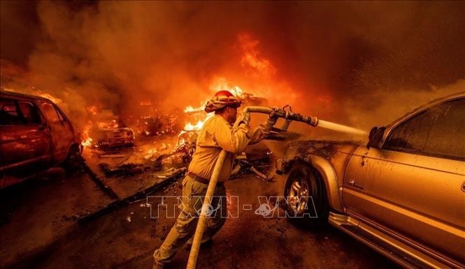 Lính cứu hỏa nỗ lực dập lửa cháy rừng tại Altadena, California, Mỹ. Ảnh: AP/TTXVN