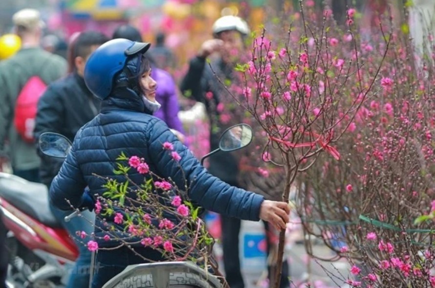 Thời tiết dịp nghỉ Tết Nguyên đán năm 2025 phổ biến rét. Nguồn: Vietnam+