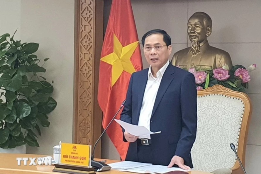 Phó Thủ tướng Bùi Thanh Sơn. Ảnh: Chu Thanh Vân/TTXVN