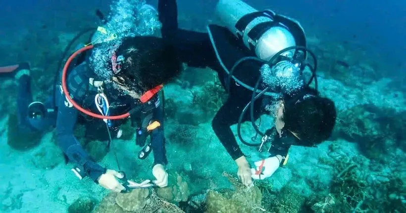 Việt Nam là một trong những điểm đến lặn biển được khách quốc tế thích nhất