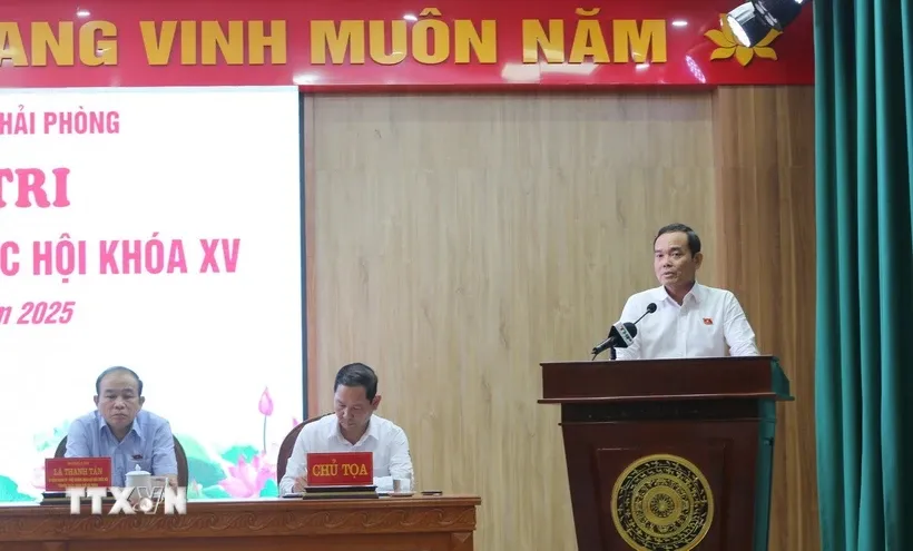 Ông Trần Lưu Quang, Bí thư Trung ương Đảng, Trưởng Ban Chính sách, chiến lược Trung ương phát biểu. Ảnh: Minh Thu/TTXVN