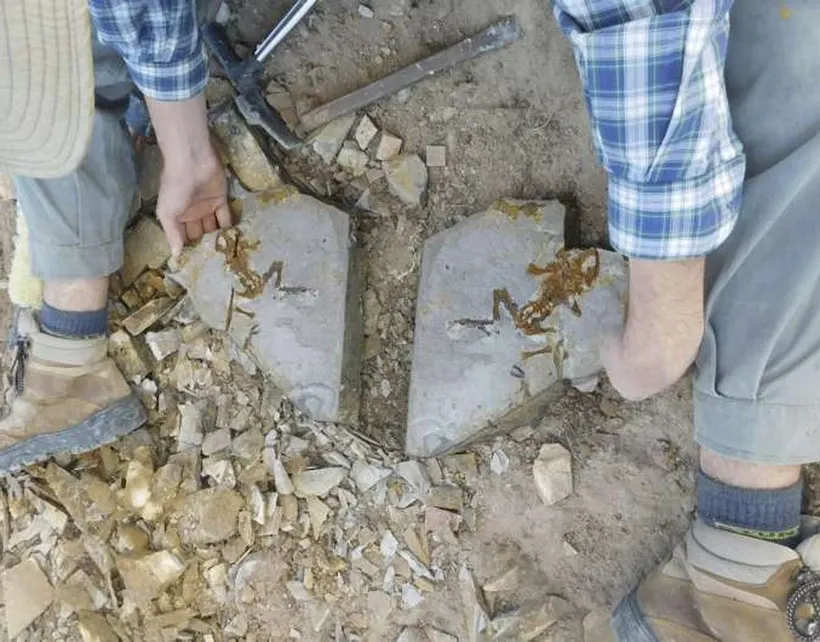 Ảnh minh họa. Nguồn: phys.org