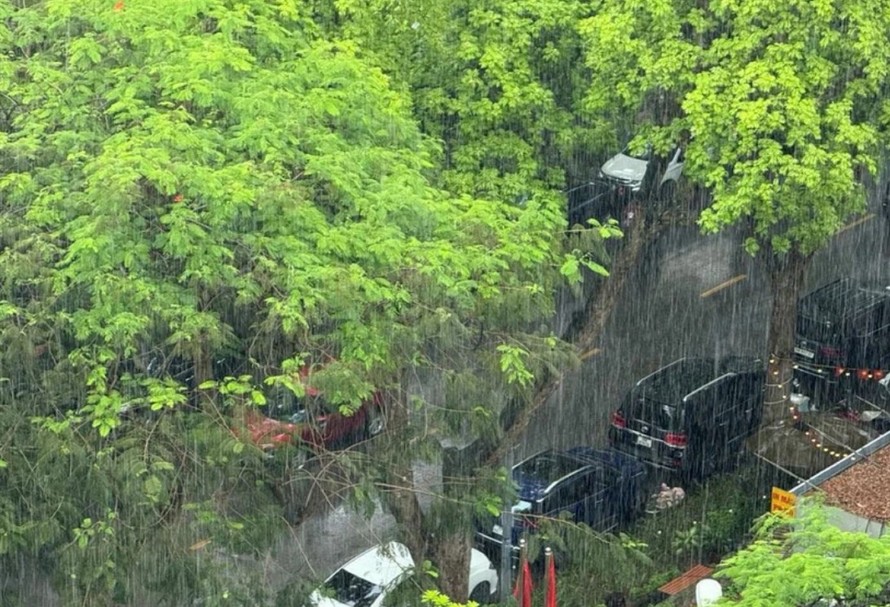 Các khu vực đều có mưa. 