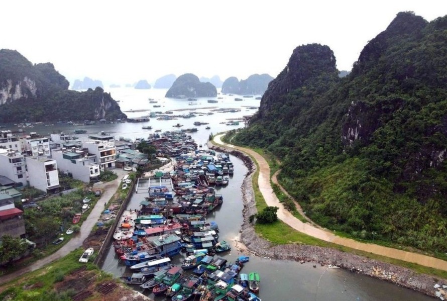 Tàu cá của ngư dân tránh trú bão tại khu vực cảng Cái Rồng, Đặc khu Vân Đồn, tỉnh Quảng Ninh.
