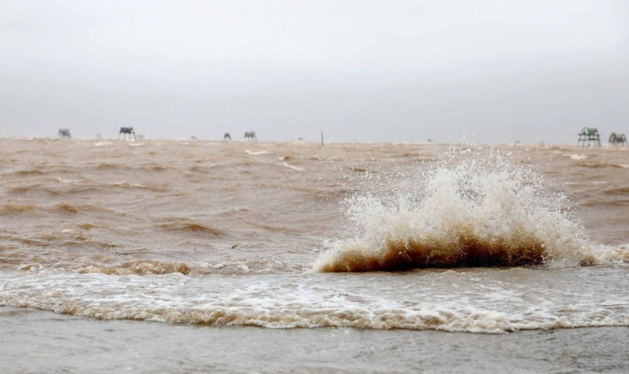 Bão số 3 gây mưa và sóng biển dâng cao tại khu vực xã Đồng Châu (Hưng Yên). Ảnh: Thế Duyệt