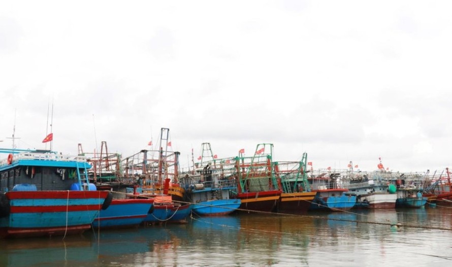 Chủ động ứng phó áp thấp nhiệt đới. Ảnh: Nguyên Lý