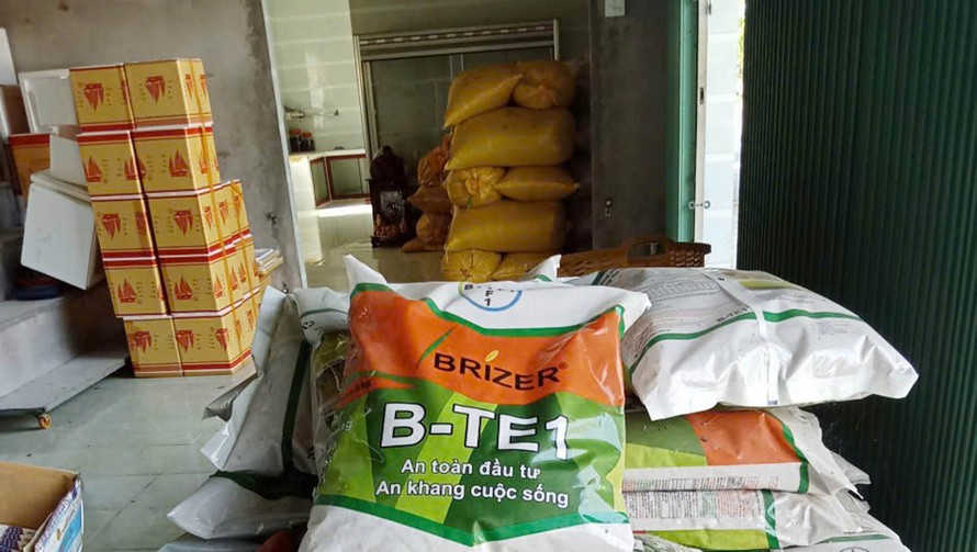 Người dân bị lừa mua lúa giống giả tại Kiên Giang. 