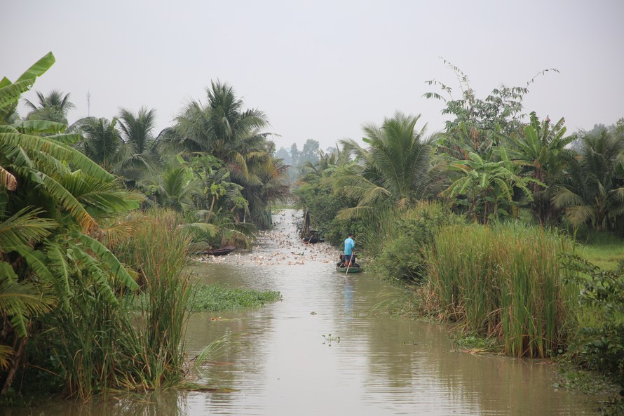 Sống thuận tự nhiên là cách người Phú Lễ hôm nay lựa chọn. Ảnh: Đoàn Quý