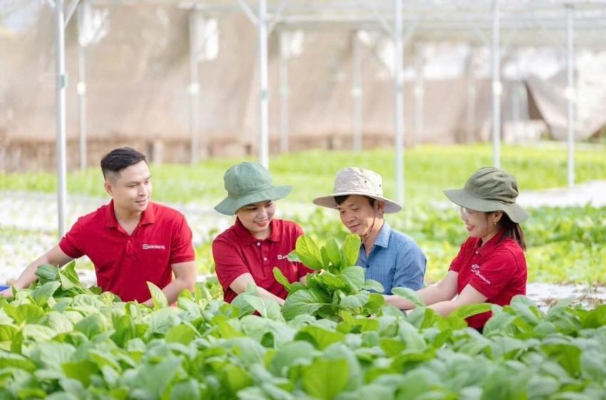 Agribank hiện đang triển khai hình thức cấp tín dụng này tại 105 Chi nhánh thuộc 34 tỉnh, thành phố trên cả nước
