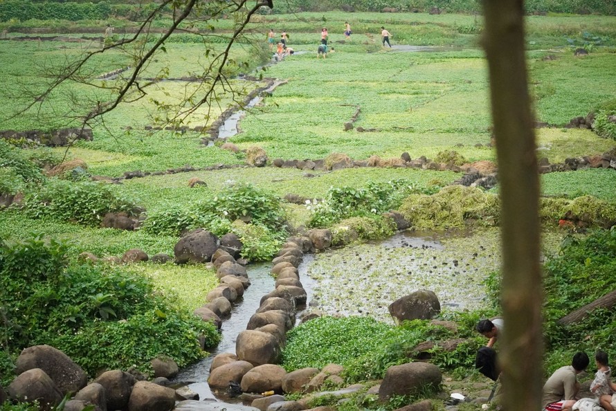 Giếng cổ Gio An là những công trình hệ thống dẫn thủy cung cấp nước cho sinh hoạt và sản xuất; là di tích có giá trị khảo cổ, văn hoá nghệ thuật độc đáo do người Chăm sáng tạo và được người Việt tiếp thu giữ gìn cho đến ngày nay.