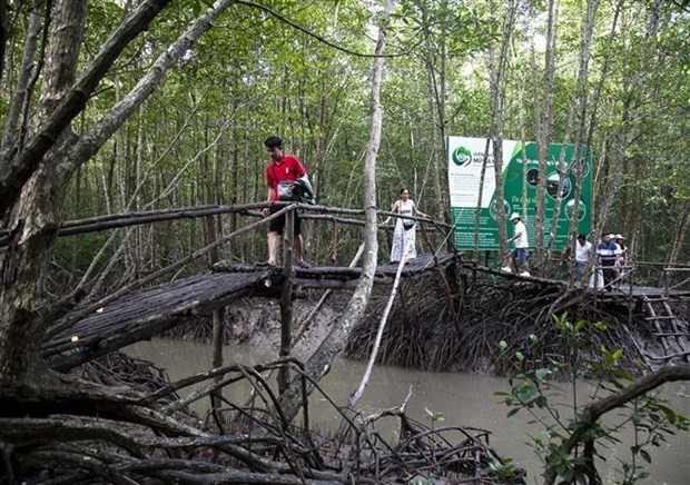 Du khách tham gia tour xuyên rừng Đất Mũi Cà Mau. Ảnh: Hồng Đạt/TTXVN.