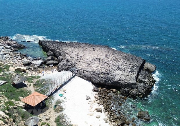 Bãi san hô cổ ở Hang Rái nằm trong Khu Dự trữ Sinh quyển Thế giới Núi Chúa. Ảnh: Nguyễn Thành/TTXVN.