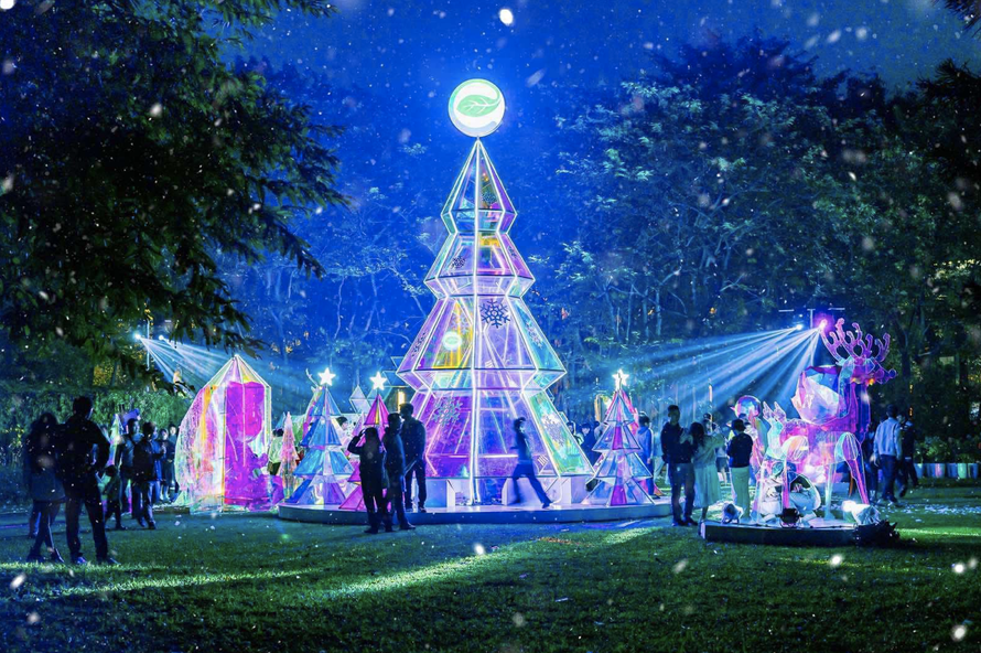 Cây thông khổng lồ trong khu rừng pha lê chiếu sáng cả một vùng đất.