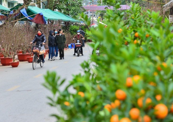 Người dân tham quan, mua sắm tại chợ hoa Tết ở Hà Giang. Ảnh: Nam Thái/TTXVN.